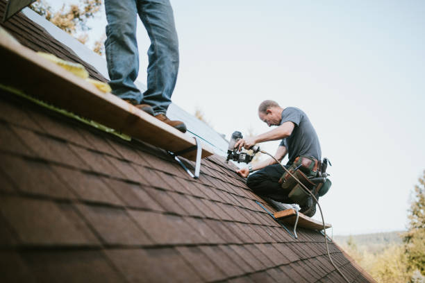 Professional Roofing Contractor in Tontitown, AR